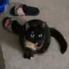 jamiefleming849 - @jamie.fleming5 - TikTok