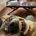 Jamie Flowers - Facebook