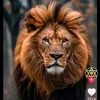 Jamifox - @jamifox87 - TikTok