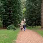 Jamie Gibbs - @jamie.gibbs.5076 - Instagram