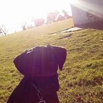 new account - @jamie_gibbs.___ - Instagram