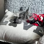 Jami Hayes - @hayesjami - Instagram