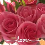 Jami Hays  Boen - @jlb97045 - Instagram