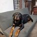 Jamie Hays - Facebook
