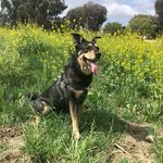 Jami Holland Countryman - @jami_l_holland - Instagram