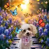 Jamie Joslin Holland - @old.lady.from.texas - TikTok