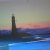 Jami Howard - @jami.howard0 - TikTok