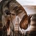 Jami Jamison - Facebook