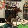 Jamie Kennedy - @jamie.kennedy493 - TikTok