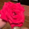 Jamielynkidd - @jamielynkidd99 - TikTok
