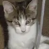 Jamie Lutz958 - @jamielutz958 - TikTok