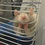 Jamie Lyons - @jamie.lyons.31508 - Instagram