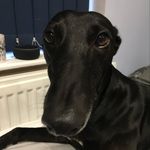 Jamie.madden - @jamie.8916 - Instagram