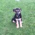 Jamie Mccormick - Facebook