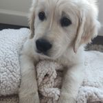 Jami Lynn - @jamimelton - Instagram