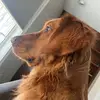 jamiemelton11 - @jmemelton - TikTok
