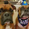 Jamie Miles - @okieboxermom - TikTok
