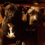 Jami Mills - @rasta667 - Instagram