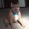 Jamie Rogenmoser - @jamie.rogenmoser - TikTok