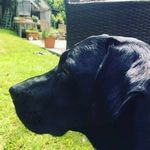 Jamie Newell - @jamie_newell04 - Instagram