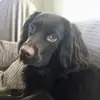 Jamie_norris2 - @jamie_norris2 - TikTok