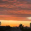 user83270927312 - @jamie.oliver29 - TikTok