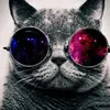 jamie_olsen - @jamie_olsen - TikTok