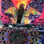 Jamie Patterson - @pogonano - Instagram
