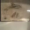 Jamie Patterson - @jamie.patterson0 - TikTok