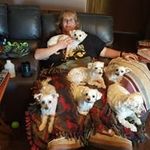 Jamie Pearson - @jamie.pearson.583234 - Instagram