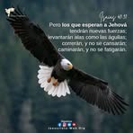 Jami Perez - Facebook