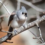 Jami Petersen Davis - @davisjam27 - Instagram