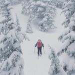 Jamie Pierce - @jamie__pierce - Instagram