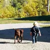 jamiepollard73 - @jamiepollard73 - TikTok