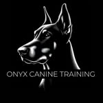 Jami Ramirez - @onyxcaninetraining - Instagram