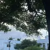 Jamileth - @jami_ramos23 - TikTok
