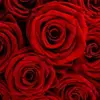 JMR - @jamiramos279 - TikTok