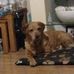 Jamie Saunders - Facebook