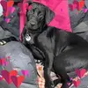 Jami Savage Schwintek - @mamaschwintek - TikTok