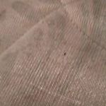 Jamie Schmidt - @jamie.schmidt.52438 - Instagram