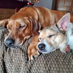 Jamie Schuster Gemar - @jgemar14 - Instagram