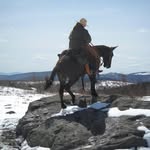 Jamie Shouse - @resthavenfarm - Instagram