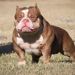 Jamie Sims - @jamie.sims.1069 - Instagram