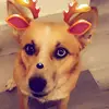 jamiestein89 - @jamiestein89 - TikTok