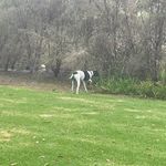 Jamie Sweeney - @jamie.sweeney.92 - Instagram