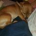 Jami Todd - Facebook