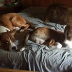 Jami Volk - Facebook