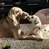 jami.volk5 - @jami.volk - TikTok