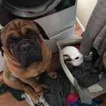 Jamie Wade - @jamie_wade_49 - Instagram