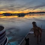 Jami Watts - @bowandbubbles4 - Instagram